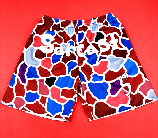 Bandana Paisley Shorts - Multicolor/Camo